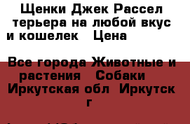 Щенки Джек Рассел терьера на любой вкус и кошелек › Цена ­ 13 000 - Все города Животные и растения » Собаки   . Иркутская обл.,Иркутск г.